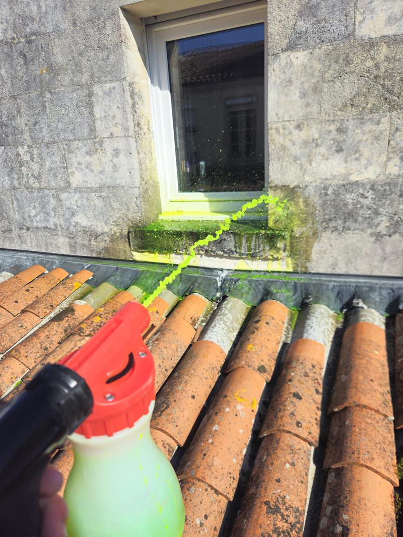 aspersion toiture Rochefort